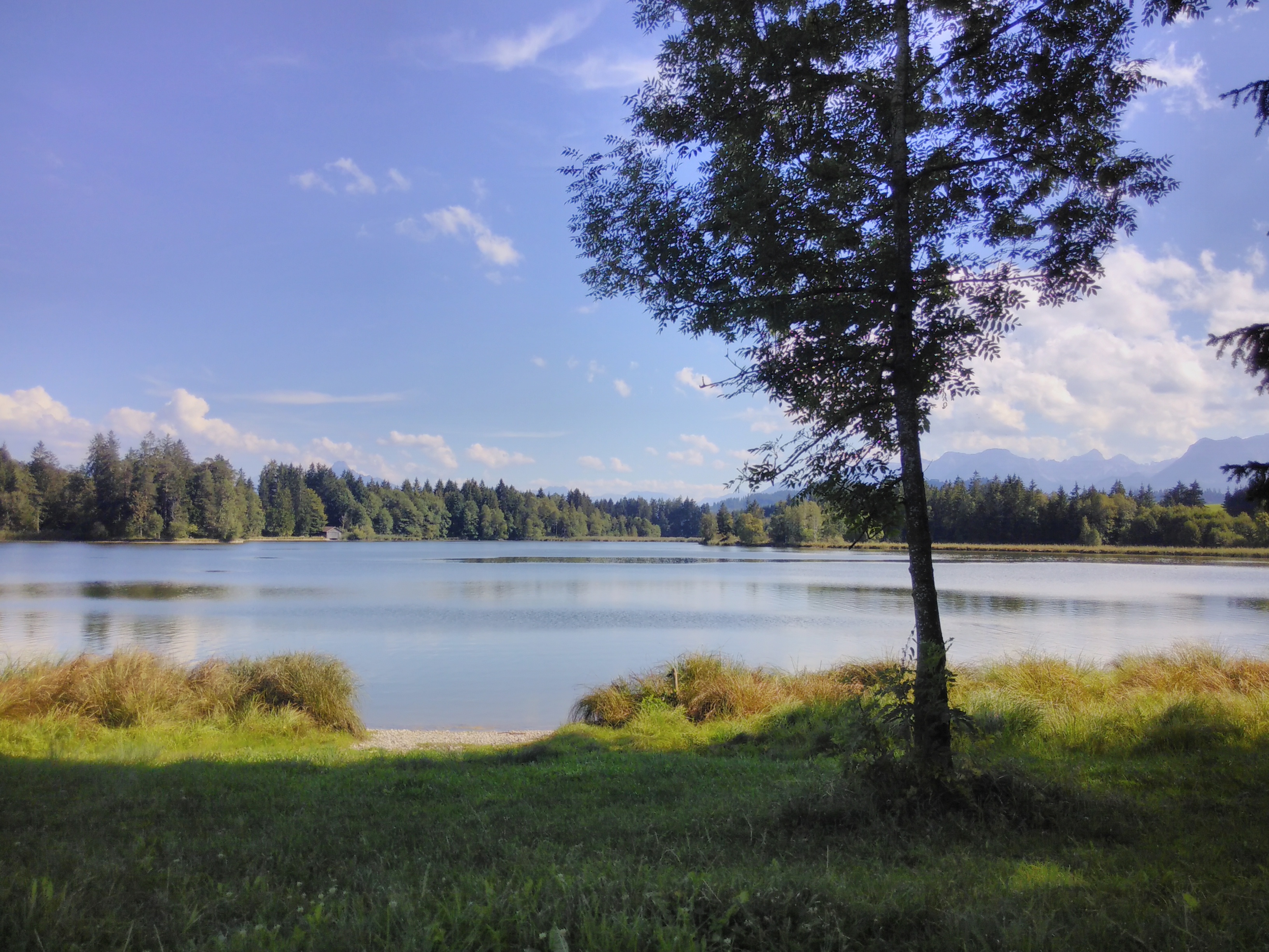 
		Baden im Schwaltenweiher
		